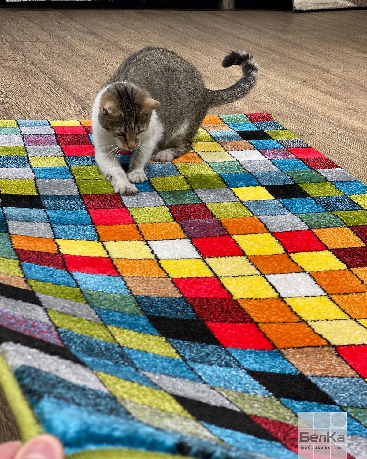 ковер фэнси 20719 22088