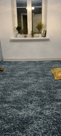 палас принт бертран 95_40