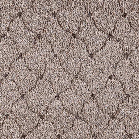 Ковер SCROLL (01_009 5150000) 0,6х1,0 Прямой