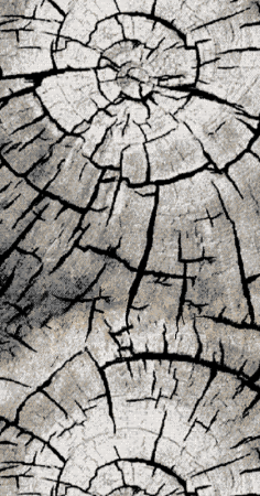 Ковер Лайла де Люкс 15751 10744 0,8х2,0 Прямой (0,8)